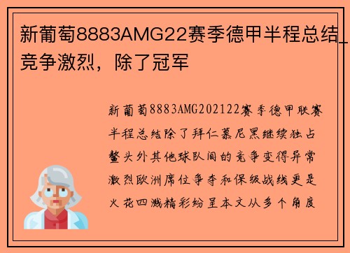 新葡萄8883AMG22赛季德甲半程总结_竞争激烈，除了冠军
