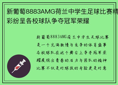 新葡萄8883AMG荷兰中学生足球比赛精彩纷呈各校球队争夺冠军荣耀