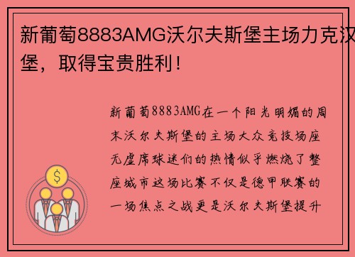 新葡萄8883AMG沃尔夫斯堡主场力克汉堡，取得宝贵胜利！