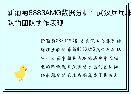 新葡萄8883AMG数据分析：武汉乒乓球队的团队协作表现