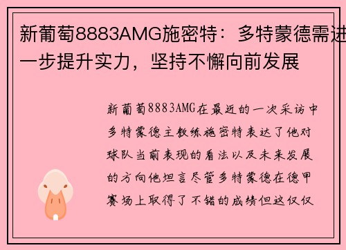 新葡萄8883AMG施密特：多特蒙德需进一步提升实力，坚持不懈向前发展