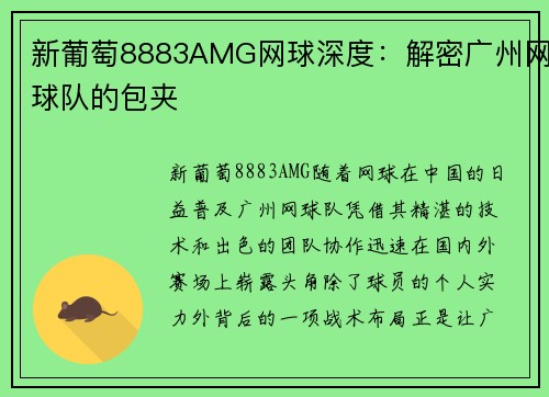 新葡萄8883AMG网球深度：解密广州网球队的包夹