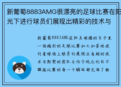 新葡萄8883AMG很漂亮的足球比赛在阳光下进行球员们展现出精彩的技术与团队合作