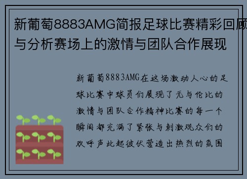 新葡萄8883AMG简报足球比赛精彩回顾与分析赛场上的激情与团队合作展现
