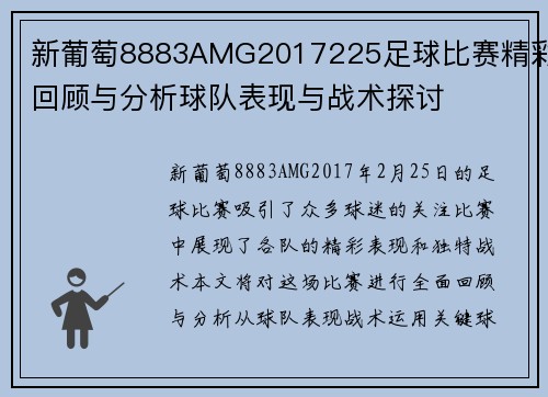 新葡萄8883AMG2017225足球比赛精彩回顾与分析球队表现与战术探讨