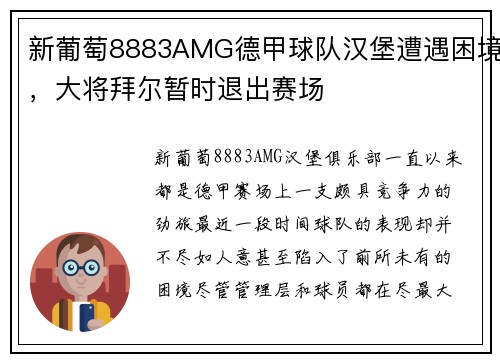 新葡萄8883AMG德甲球队汉堡遭遇困境，大将拜尔暂时退出赛场