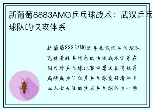 新葡萄8883AMG乒乓球战术：武汉乒乓球队的快攻体系